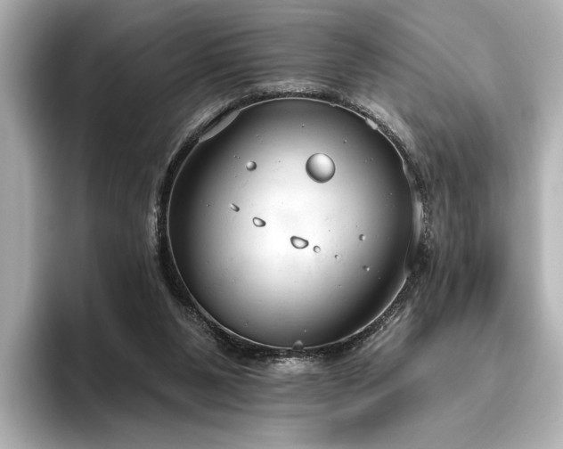 X0000096490111200801241513