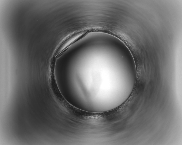 X0000096490112200801241513