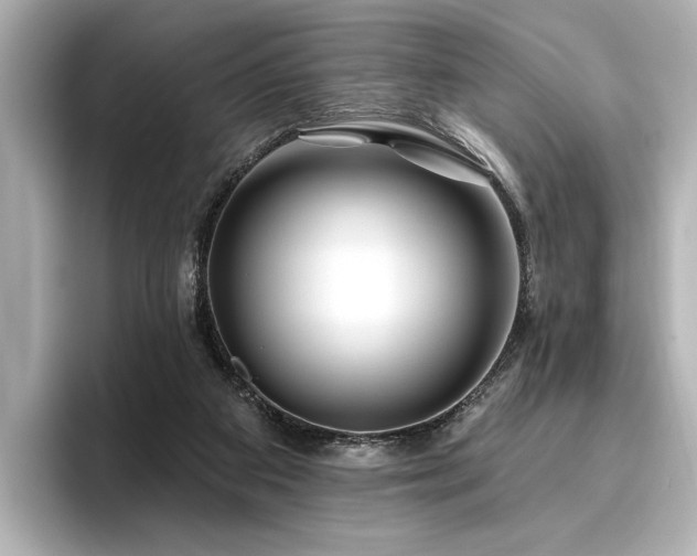 X0000096490113200801241513