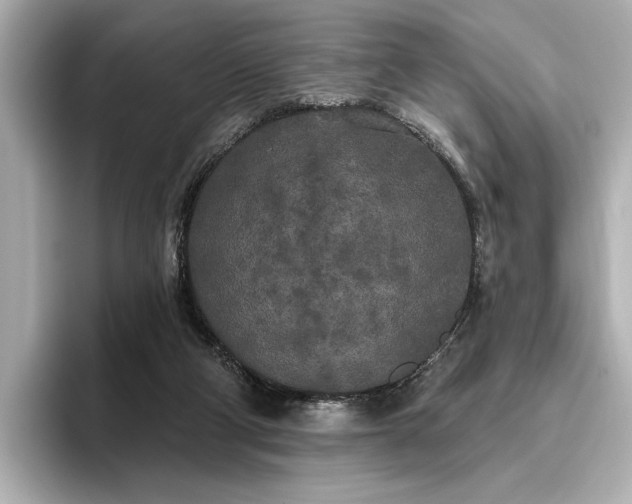 X0000096490114200801241513