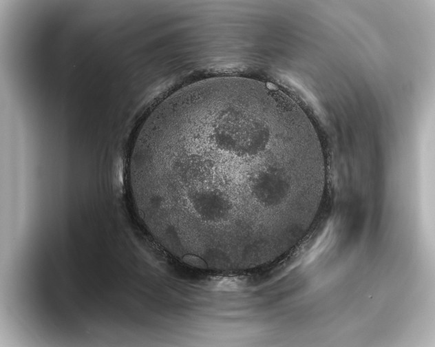 X0000096490115200801241513