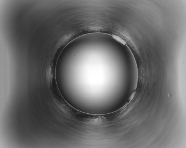 X0000096490116200801241513