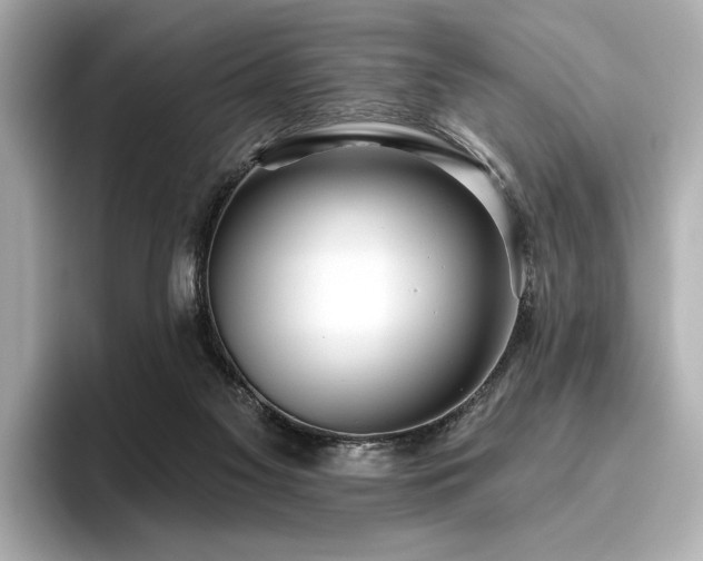 X0000096490117200801241513