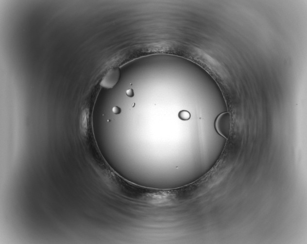 X0000096490118200801241513