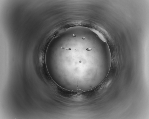 X0000096490119200801241513