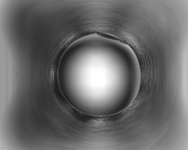 X0000096490120200801241513