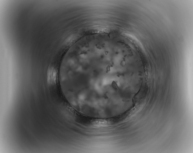 X0000096490123200801241513