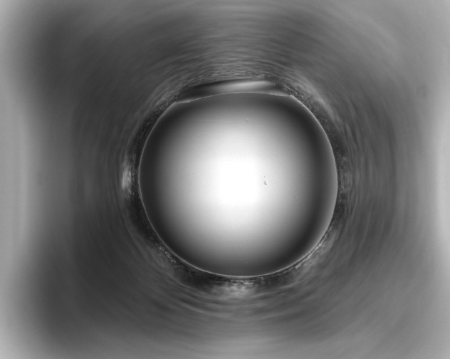 X0000096490124200801241513