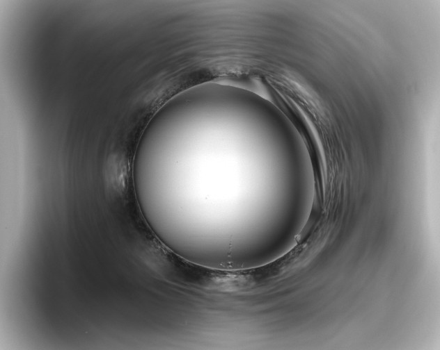 X0000096490125200801241513