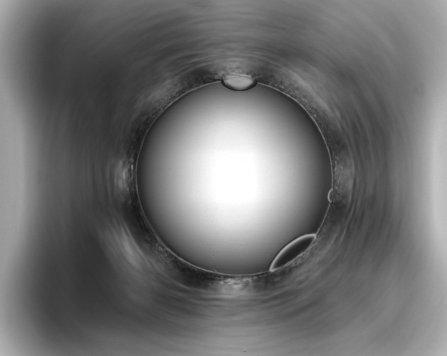 X0000096490126200801241513