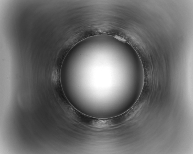 X0000096490129200801241513