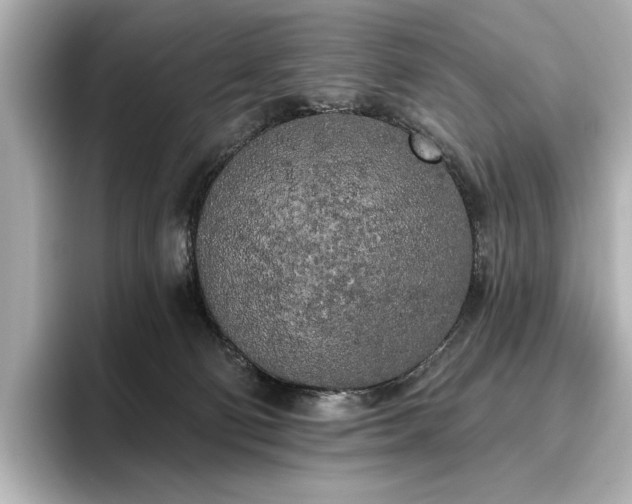 X0000096490130200801241513