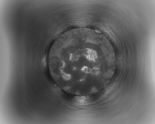 X0000096490131200801241513