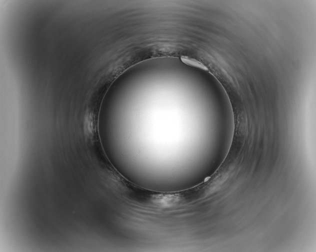 X0000096490135200801241512