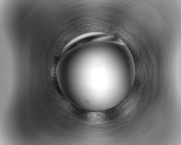 X0000096490137200801241512