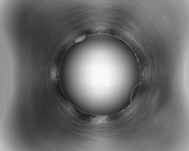 X0000096490138200801241512