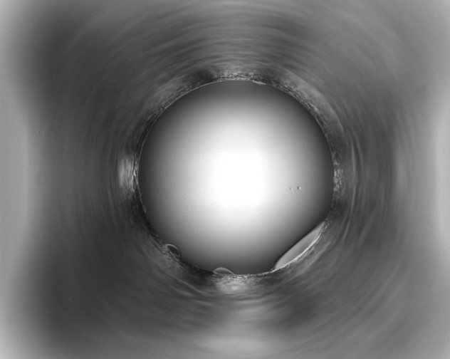 X0000096490142200801241512