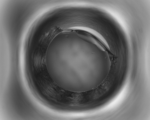 X0000096490143200801241512