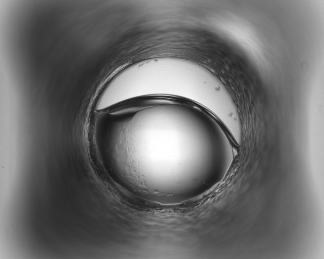 X0000096490146200801241512