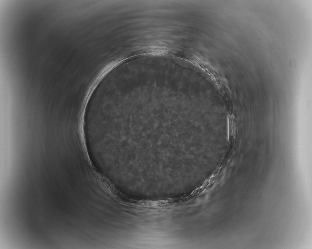 X0000096490147200801241512