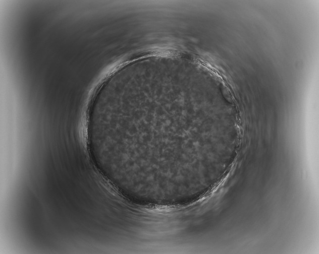 X0000096490149200801241512