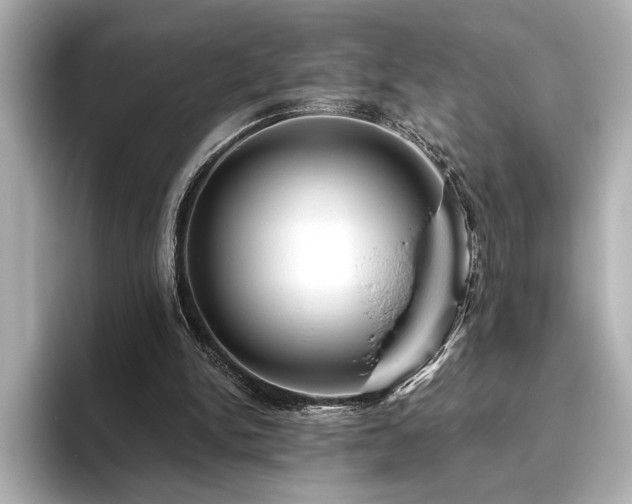 X0000096490150200801241512