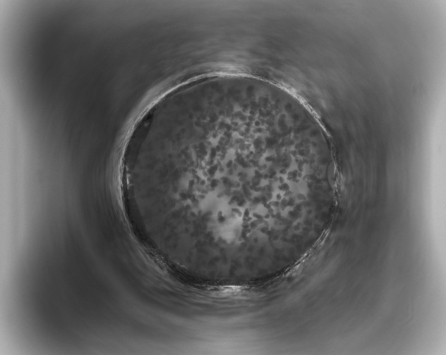 X0000096490151200801241512