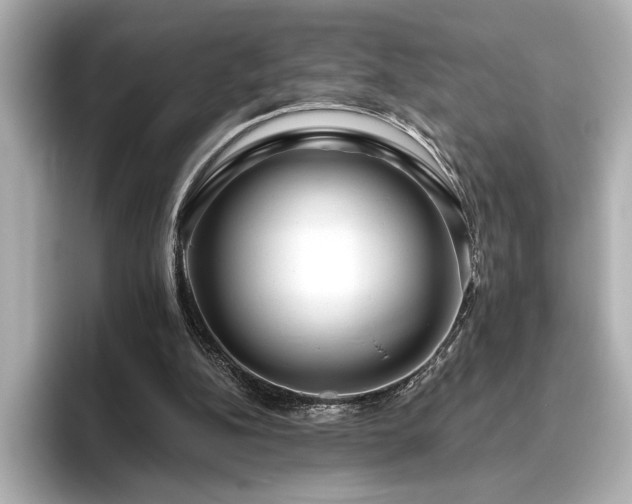 X0000096490152200801241512