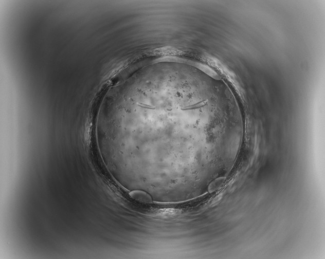 X0000096490153200801241512