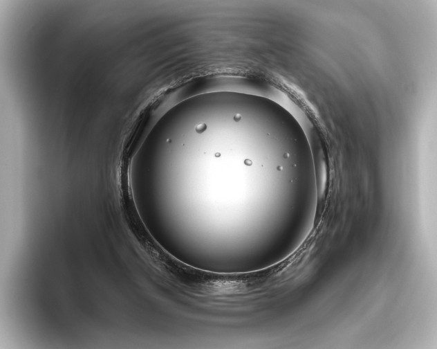 X0000096490154200801241512