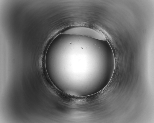 X0000096490155200801241512