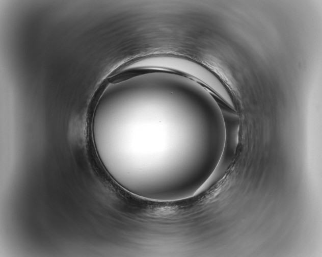 X0000096490156200801241512