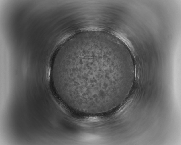 X0000096490157200801241512