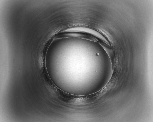 X0000096490158200801241512