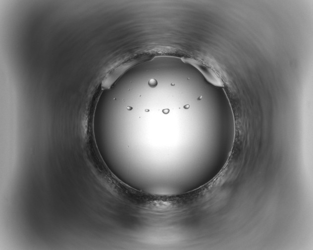 X0000096490159200801241512