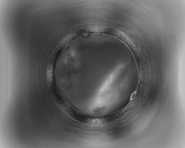 X0000096490163200801241512