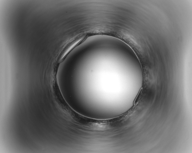 X0000096490164200801241512