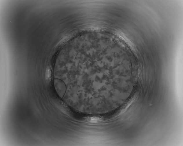 X0000096490165200801241512