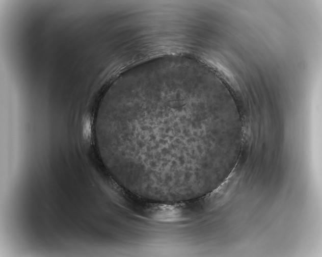 X0000096490166200801241512