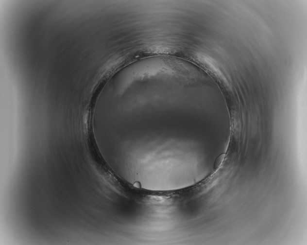 X0000096490167200801241512