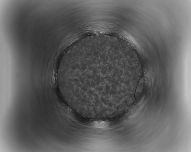 X0000096490169200801241512