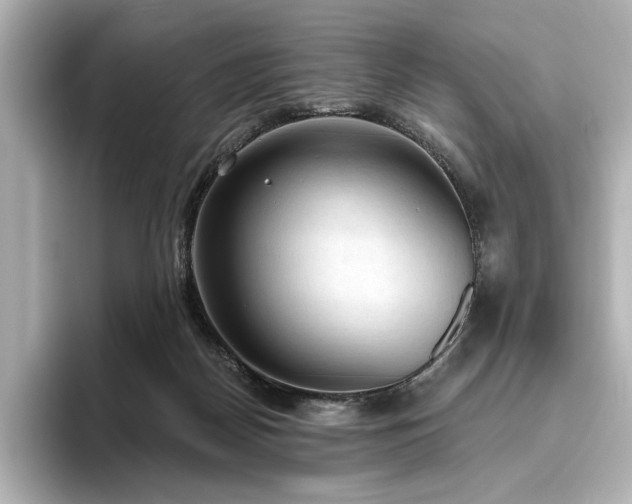 X0000096490170200801241512