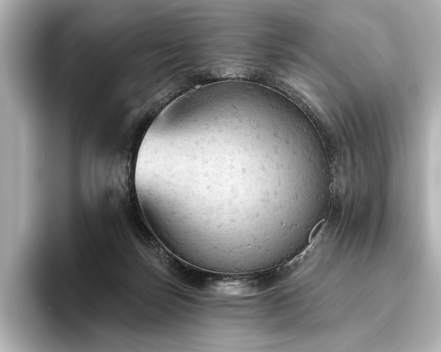 X0000096490171200801241512