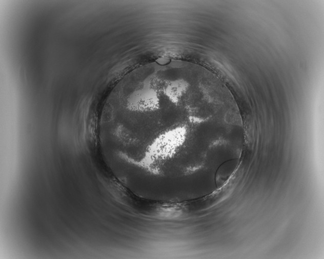 X0000096490175200801241512