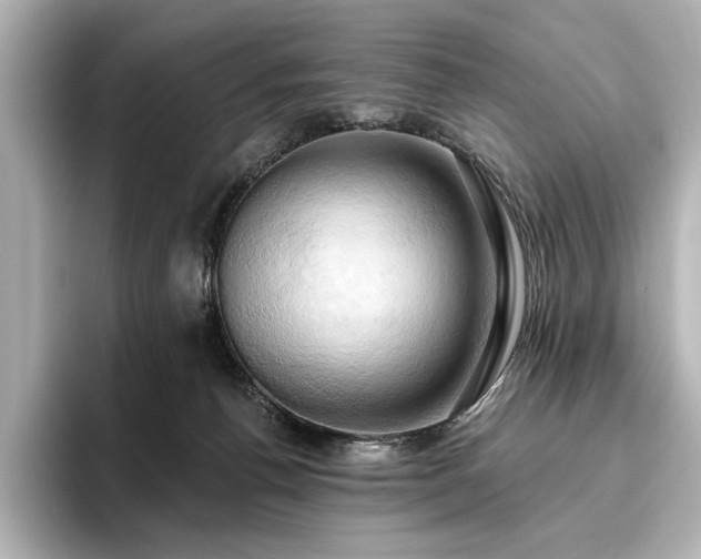 X0000096490176200801241512