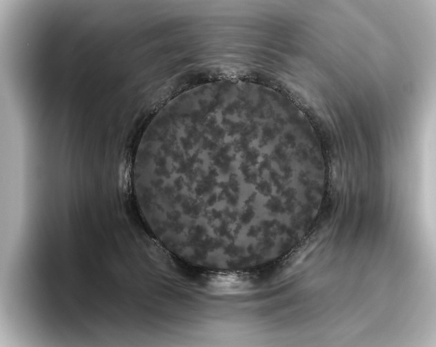 X0000096490177200801241512