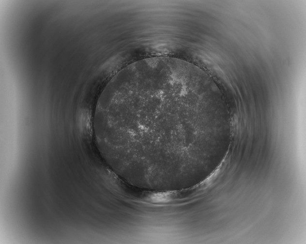 X0000096490178200801241512