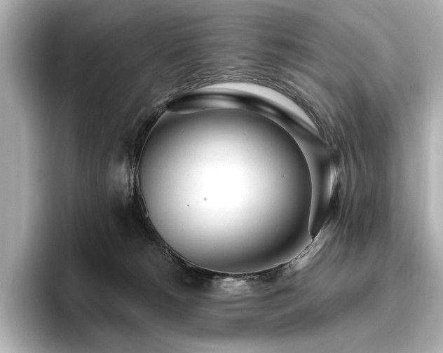 X0000096490180200801241512