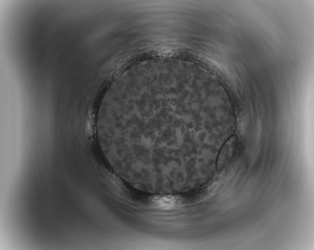 X0000096490181200801241512