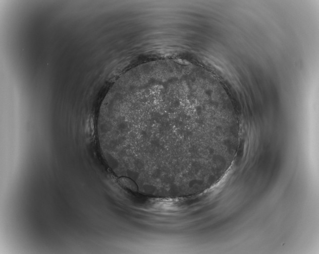 X0000096490182200801241512